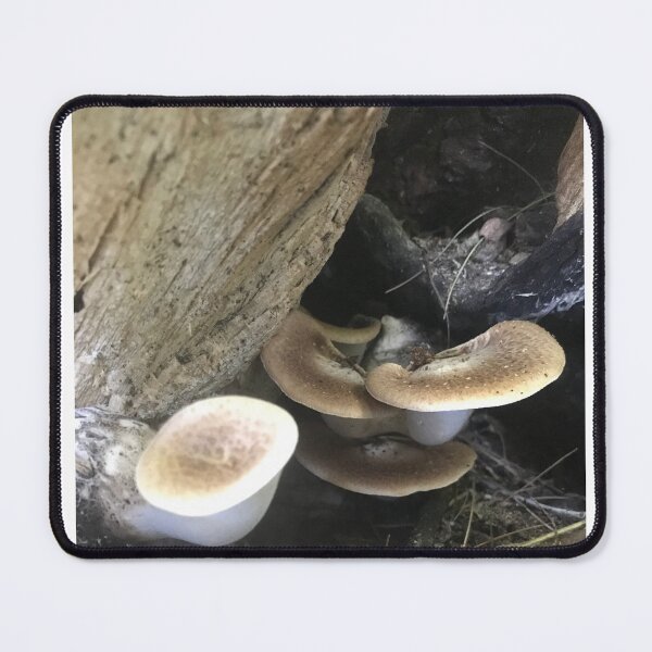 Item preview, A Saddle Back Pheasant View designed and sold by Kin9Me.
