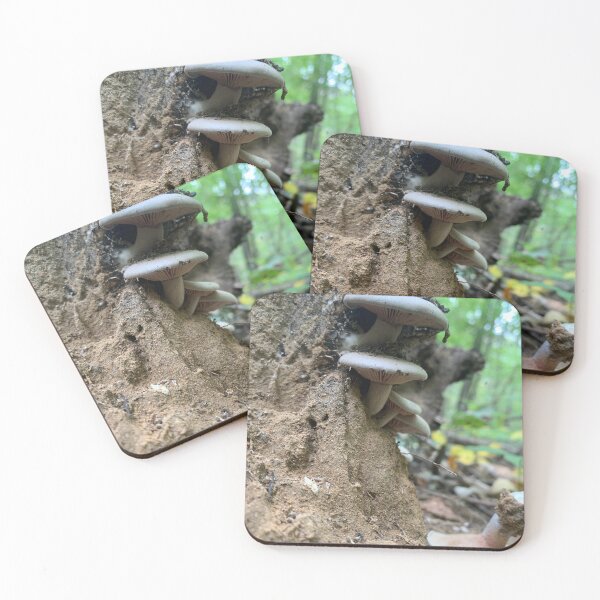 Item preview, Meadow of Mushrooms in nature designed and sold by Kin9Me.