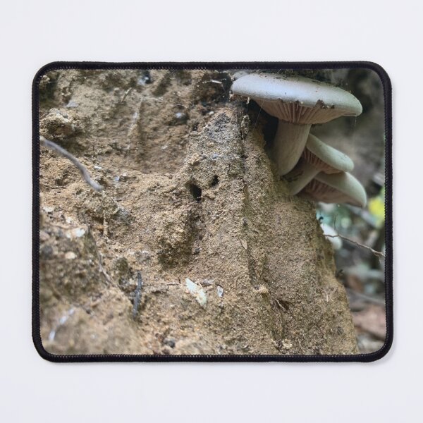 Item preview, Meadow of Mushrooms in nature designed and sold by Kin9Me.