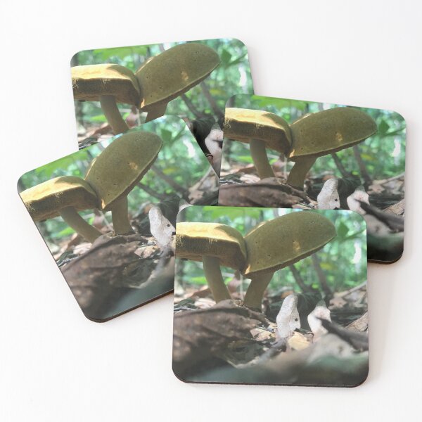 Item preview, The bolete mushroom in nature designed and sold by Kin9Me.