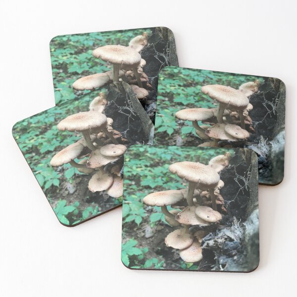 Item preview, Mushroom in natural.  designed and sold by Kin9Me.