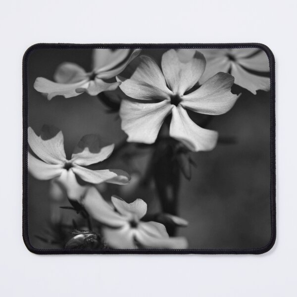 Item preview, Colorless Spring designed and sold by mfsphotographs.