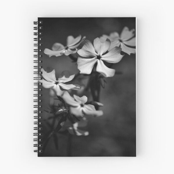 Item preview, Colorless Spring designed and sold by mfsphotographs.