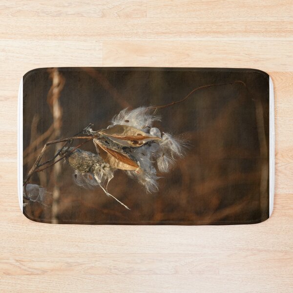 Item preview, Milkweed seed pods, early winter, December designed and sold by Poete100.
