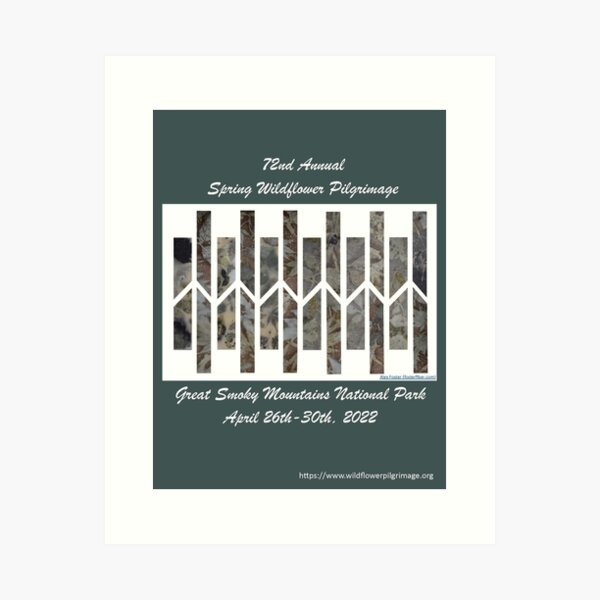 SWFP2020 Poster by Alex Foster. Art Print