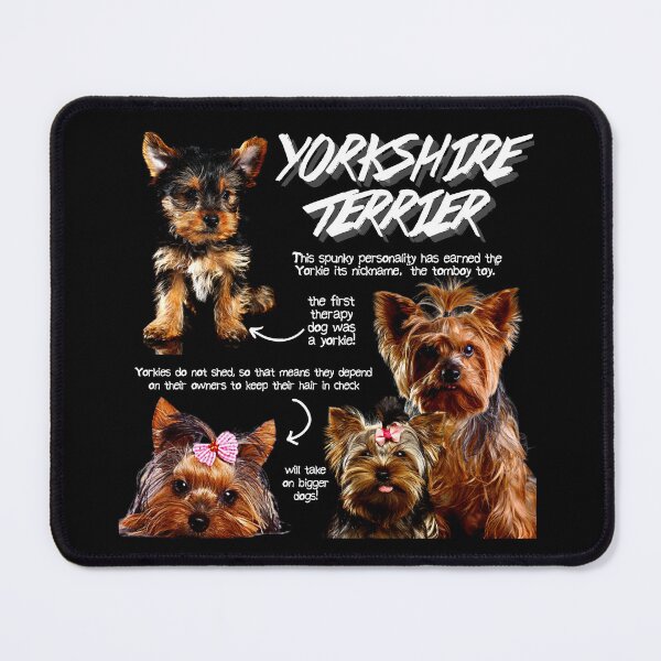 Item preview, Yorkshire Terrier Fun Facts designed and sold by KyleNesas.