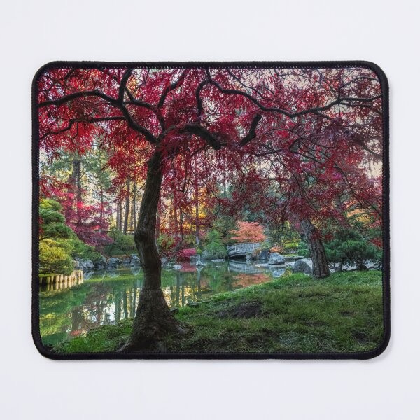 Item preview, Japanese Maple Sunburst designed and sold by Mark Kiver.