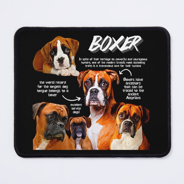 Artikelvorschau, Boxerhund Fun Facts entworfen und verkauft von KyleNesas.