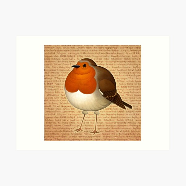 Chubby Erithacus Art Print