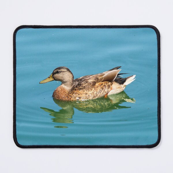Item preview, Duck Swimming In The Water. designed and sold by BackyardBirder.