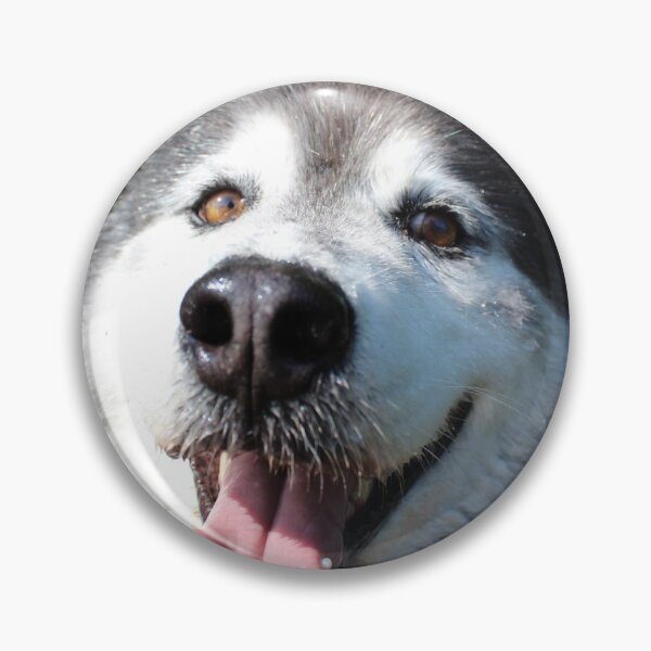 Item preview, sunny smile husky summer designed and sold by natchmiel.