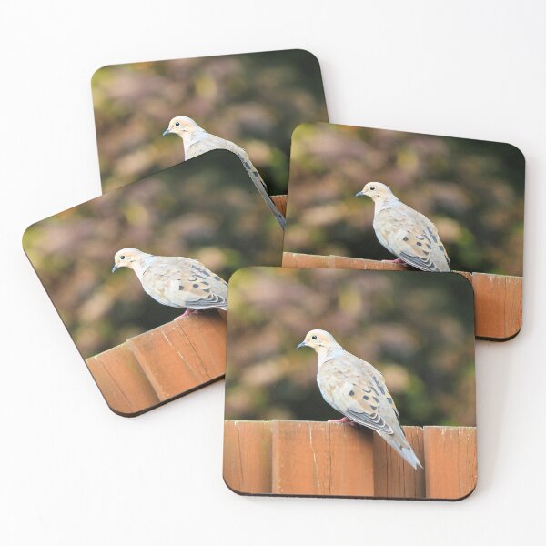 Item preview, Mourning Dove Perched On a Fence designed and sold by BackyardBirder.