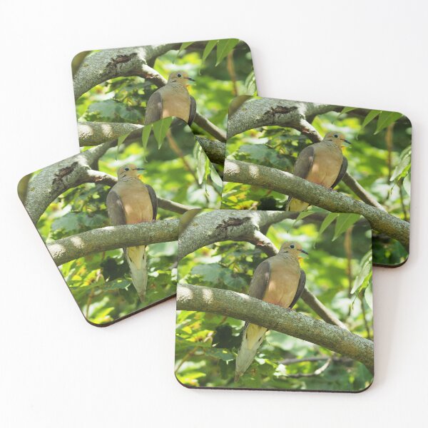 Item preview, Mourning Dove Perched In a Tree designed and sold by BackyardBirder.