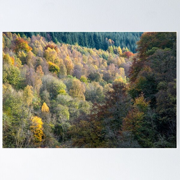 Item preview, Colours of Perthshire designed and sold by Cliff Williams.