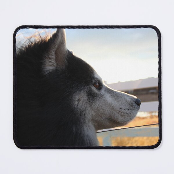 Item preview, husky car ride adventure designed and sold by natchmiel.