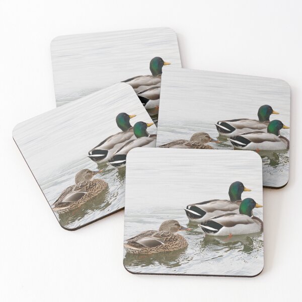 Item preview, Ducks designed and sold by FrankEvansPix.