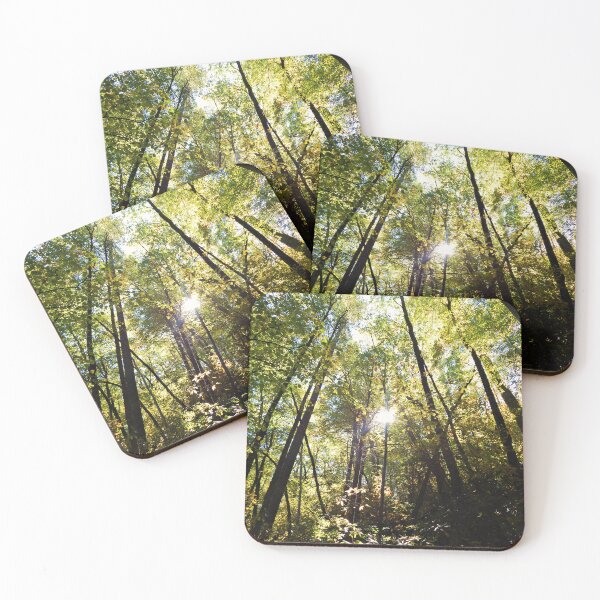 Item preview, Sunlight in the woods designed and sold by DoubleZZ.