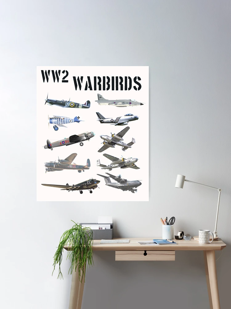 DVIDS - Images - Vintage War Birds arrive at RAF Lakenheath [Image 3 of 5]