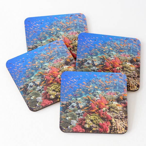 Item preview, Colorful Background Corals and Fish designed and sold by CrossingTheG.