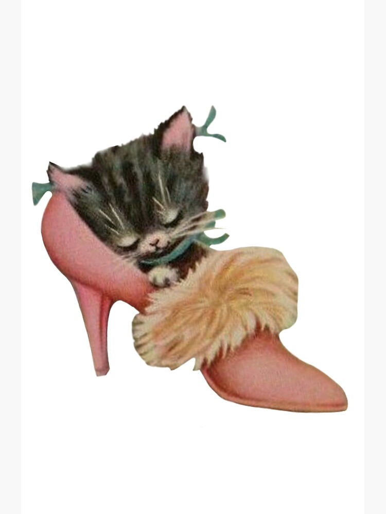 Vintage cat in a shoe