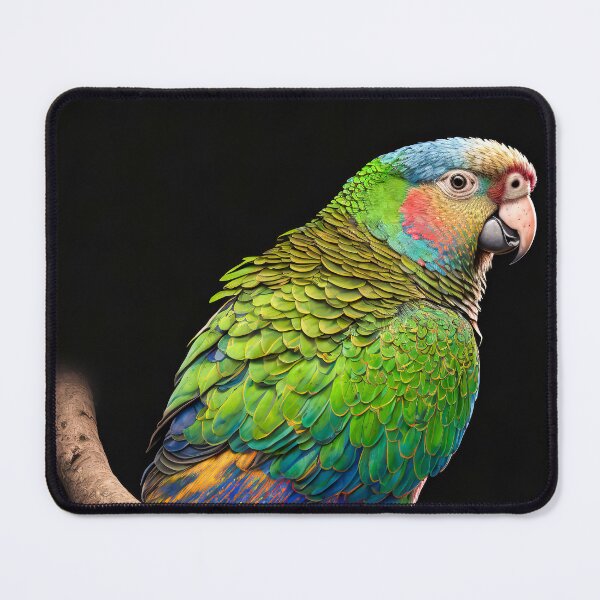 Item preview, Beautiful colorful parrot sitting on a branch on a black background. No.2 designed and sold by ShopThousand.