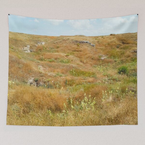 Item preview, Steppe on a summer day, natural background  designed and sold by helenkaiy.