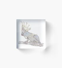 parrot Acrylic Block
