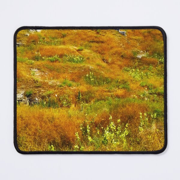 Item preview, Steppe on a summer day, natural background designed and sold by helenkaiy.