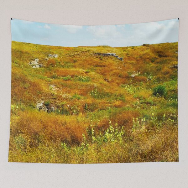 Item preview, Steppe on a summer day, natural background  designed and sold by helenkaiy.