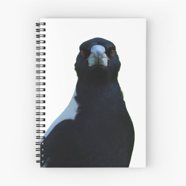 Item preview, Separated background of a magpie crow designed and sold by hendrikspix.