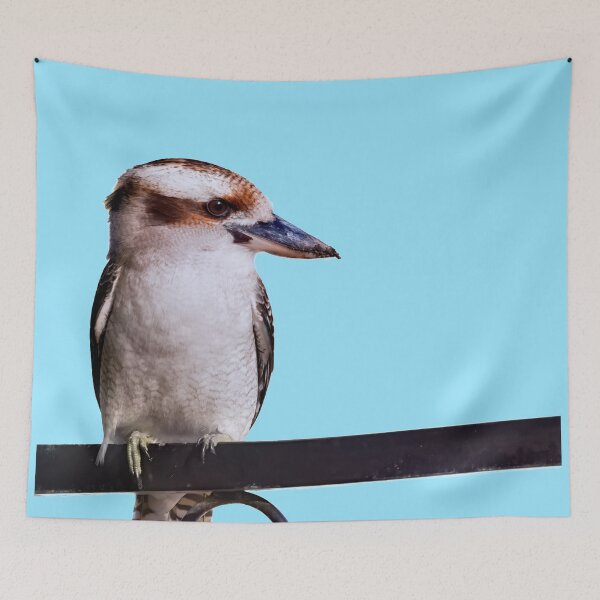 Item preview, Kookaburra sitting on fence designed and sold by hendrikspix.