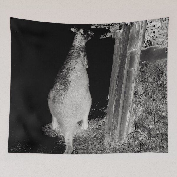 Item preview, Wallaby in the Night! designed and sold by Mickangelhere.