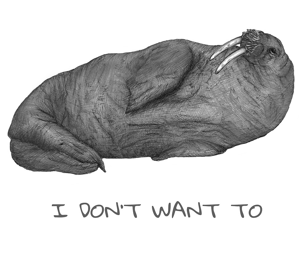 "I Don't Want To | Lazy Walrus" by ECMazur | Redbubble
