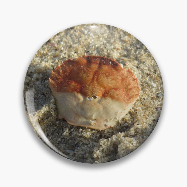 Item preview, Crab shell designed and sold by greentiger1.