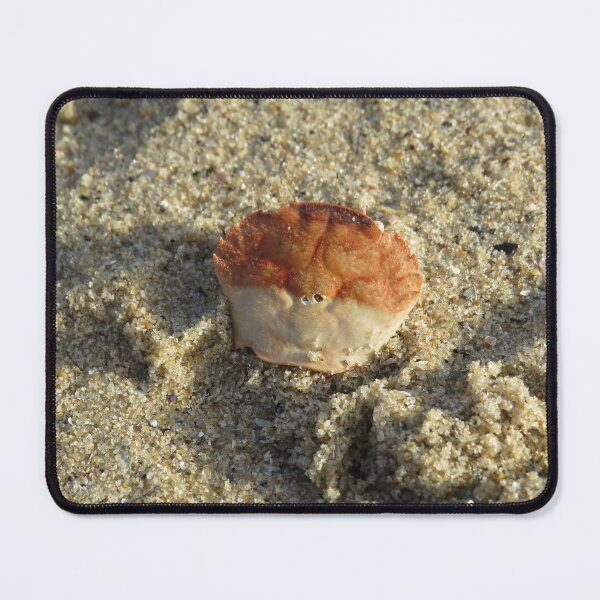 Item preview, Crab shell designed and sold by greentiger1.