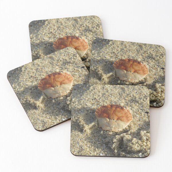 Item preview, Crab shell designed and sold by greentiger1.