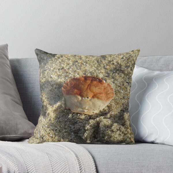 Item preview, Crab shell designed and sold by greentiger1.
