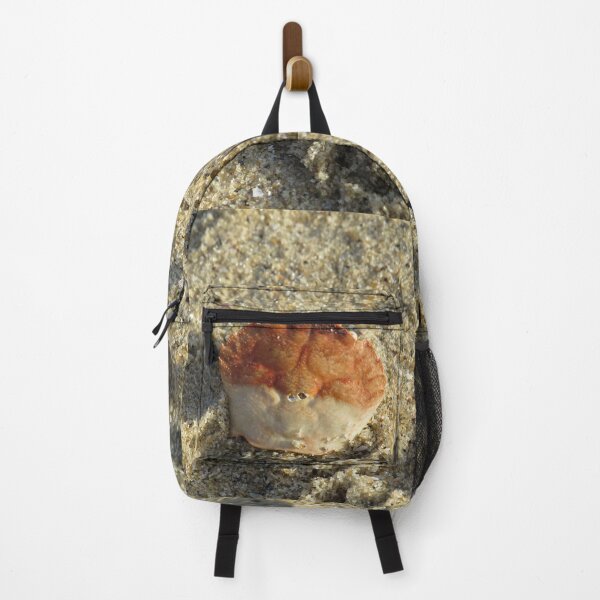 Item preview, Crab shell designed and sold by greentiger1.