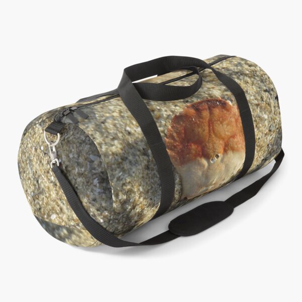 Item preview, Crab shell designed and sold by greentiger1.