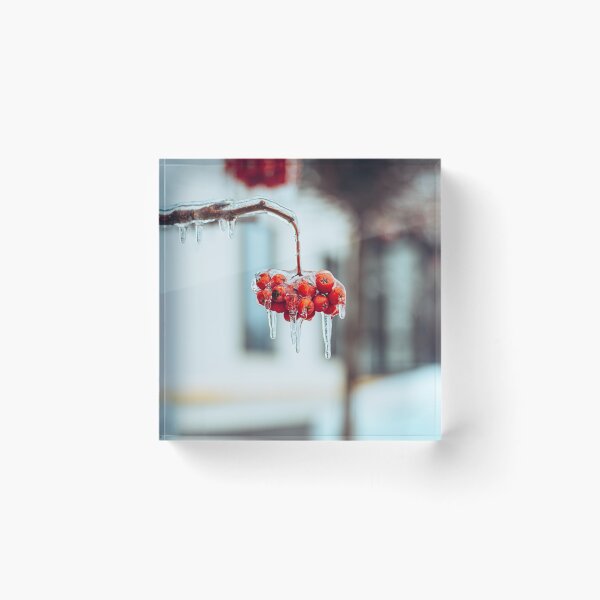 Item preview, The Charm Of Winter  designed and sold by asun5.