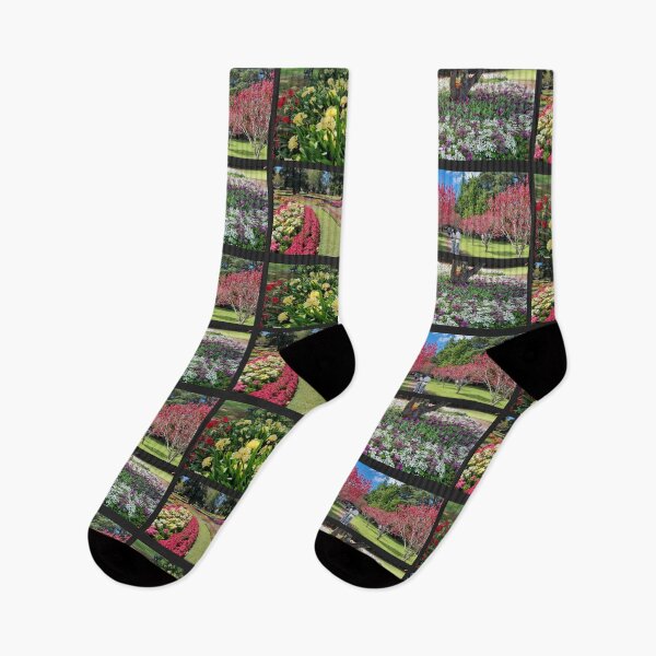 Item preview, Toowoomba colour designed and sold by PhotosByG.