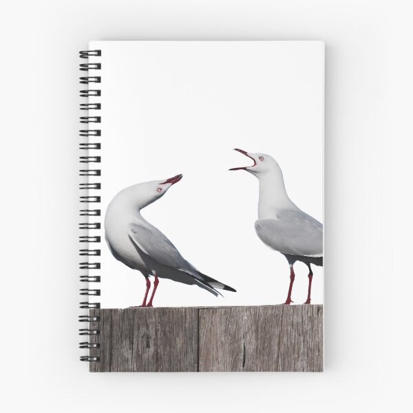 Item preview, Two seagulls on doing funny courtship poses designed and sold by hendrikspix.
