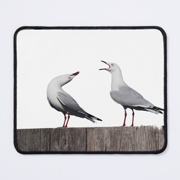 Item preview, Two seagulls on doing funny courtship poses designed and sold by hendrikspix.