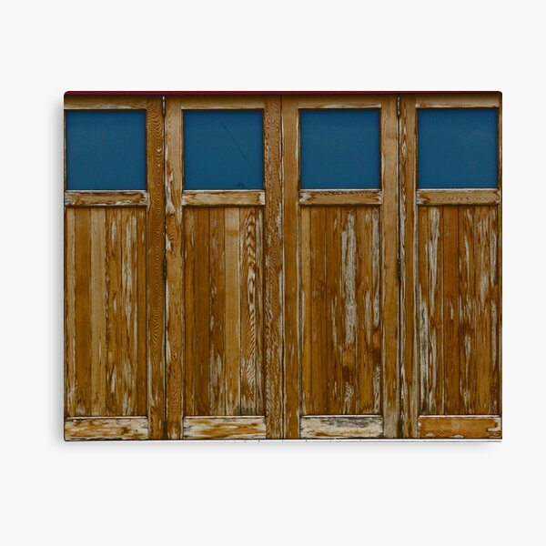 The Doors Canvas Print