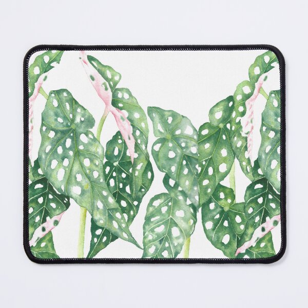 Item preview, Botanical Spotted Begonia Maculata plant leaves designed and sold by miomercado.
