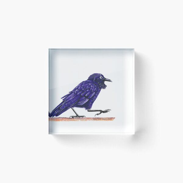 Item preview, Australian Little Raven designed and sold by RoslynClark.