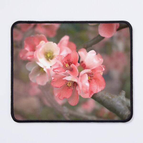 Item preview, Flowering Quince Blossom designed and sold by Alisonchambers2.