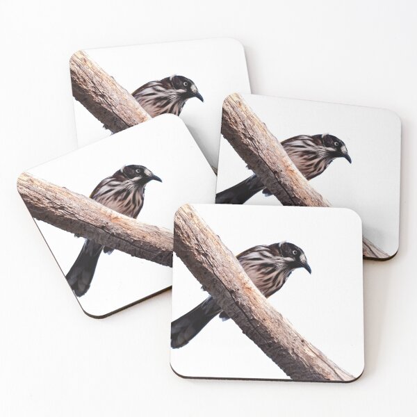 Item preview, Honeyeater bird of Western Australia on a branch looking down designed and sold by hendrikspix.