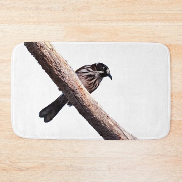 Item preview, Honeyeater bird of Western Australia on a branch looking down designed and sold by hendrikspix.