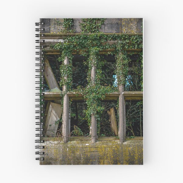 Item preview, An ancient window covered in vegetation, of the historic Castle Saunderson, near Belturbet, County Cavan, Ireland designed and sold by AlbertMi.
